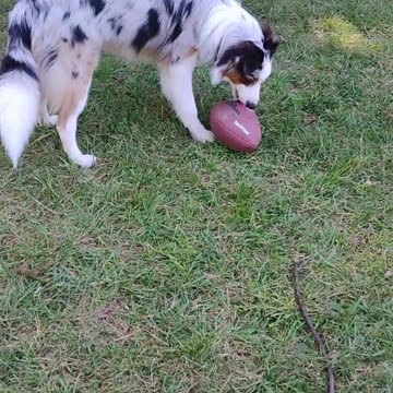 let's get ready to rumble