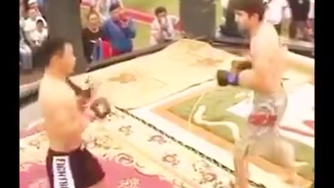 Devastating Knock Outs In Pro Fights