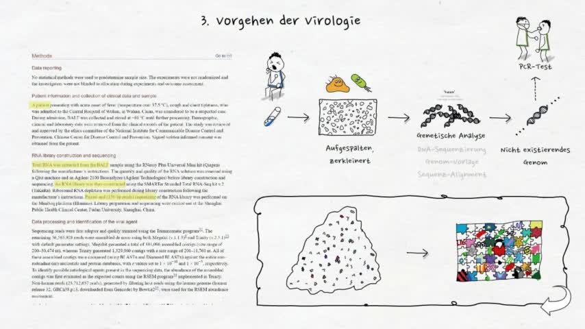 Motive von Ungeschlumpften