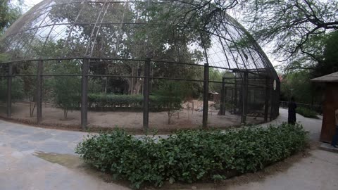 Lawrence Garden in Lahore 🇵🇰 Pakistan part 2