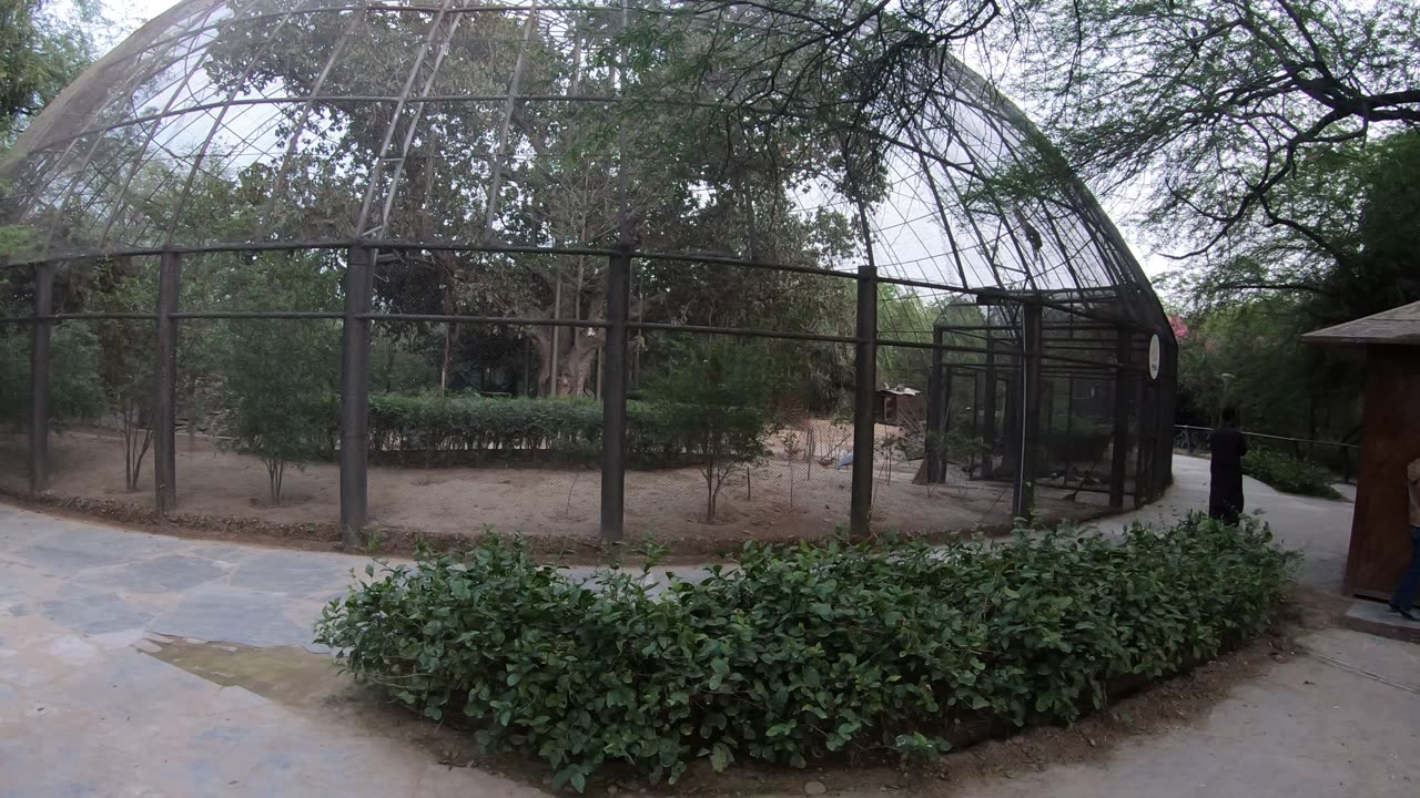 Lawrence Garden in Lahore 🇵🇰 Pakistan part 2