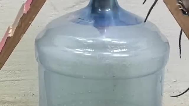 Who knew that plastic bottles might serve as rat traps?