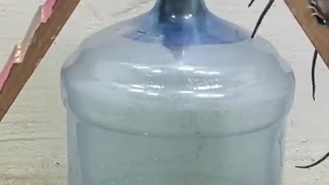 Who knew that plastic bottles might serve as rat traps?