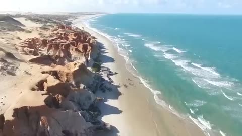 Viral Video #8
