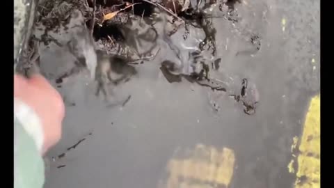 Climate Crisis Solved in 3 minutes (Gemma O'Doherty) 30-12-23