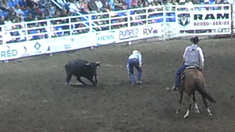 Rodeo in ND Steer wrestling