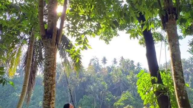Magical mornings in Bali