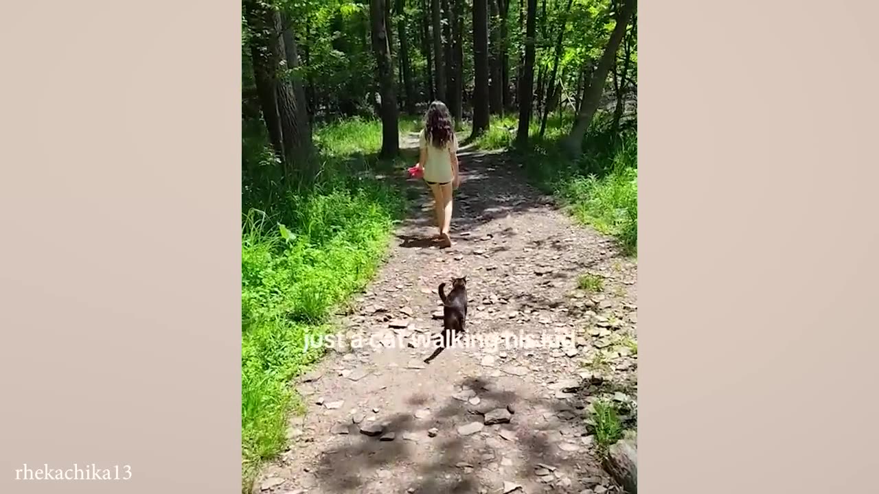 Adorable Cat Walks Little Human to Bus Stop Everyday!