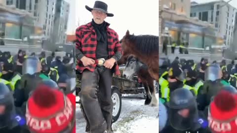Police horses trampling peaceful protesters must never again be allowed to happen in Canada