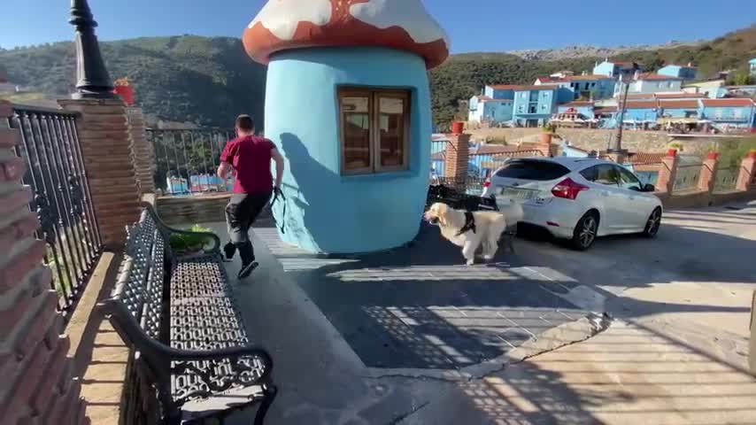 My Dog Went on a Fabulous Journey to theSmurfs Village