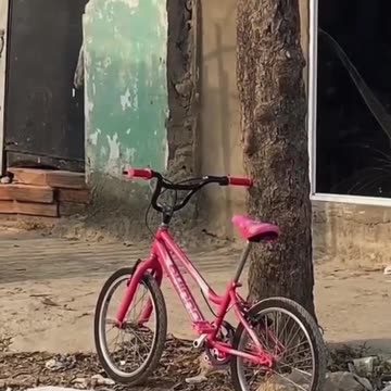 Don't try to steal the bike Prank_ Stealing bicycle prank #comedy #prank @Editzzzbyrenox