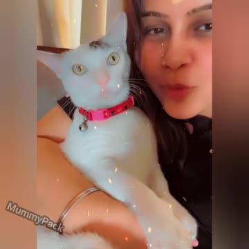 So beautiful so elegant just looking like a “MEOW” oh I mean “WOW” 🧿🫶❤️