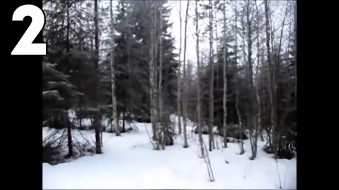 5 serious things caught on camera..