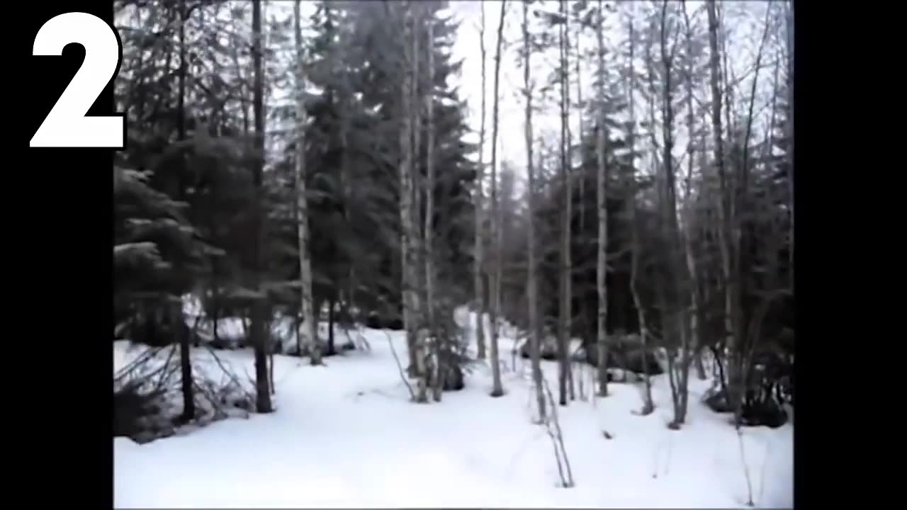 5 serious things caught on camera..