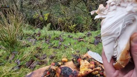 An incredible Recipe for Crispy Whole Chicken with Potatoes and vegetables cooked in nature