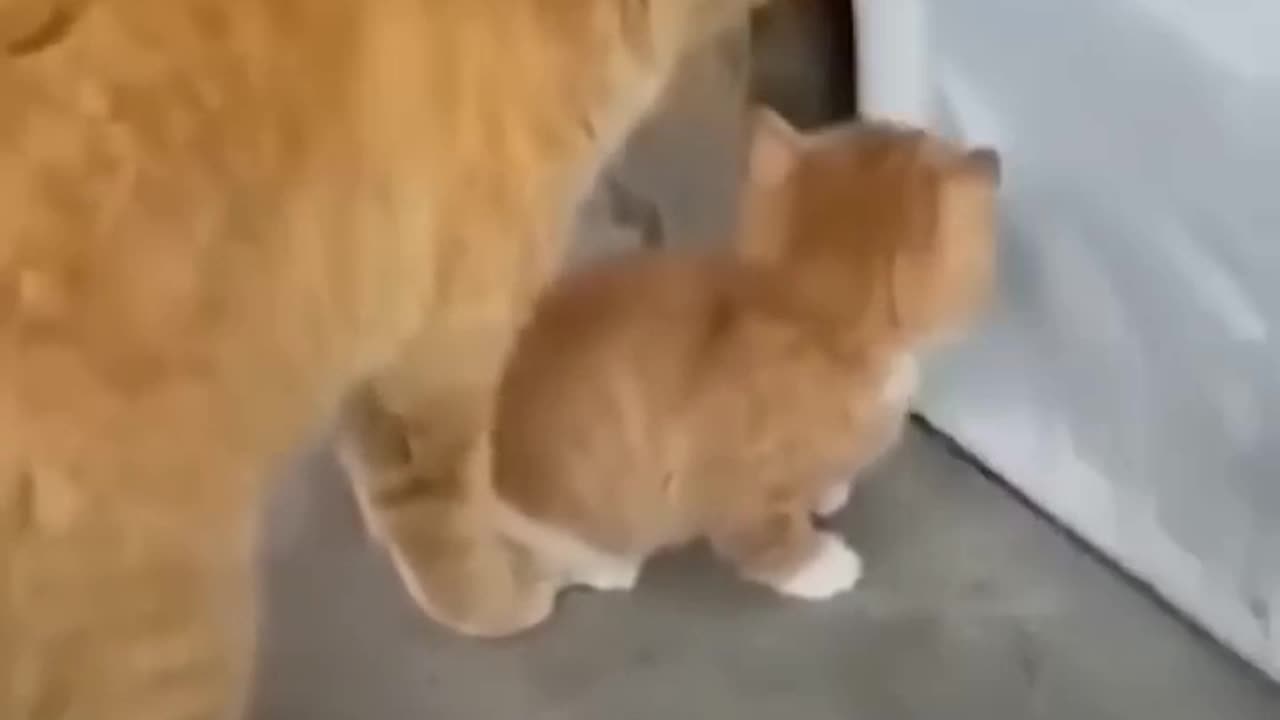 Funny