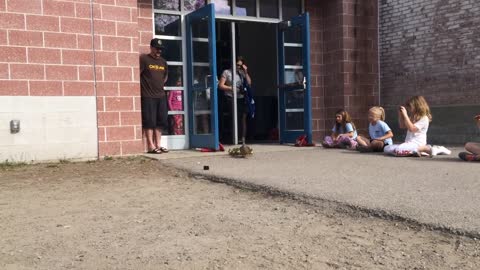 Momma duck leads baby ducklings from outdoor classroom