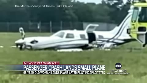 Passenger crash-lands plane after pilot suffers emergency | WNT