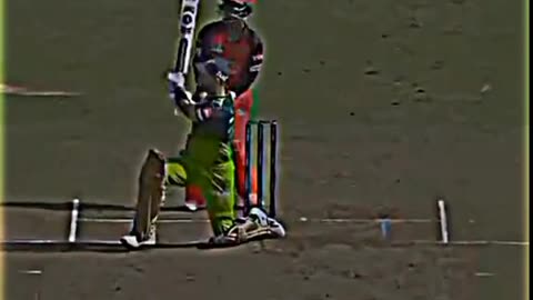 fans-video cricket lovers-video #cricket #cricketlover