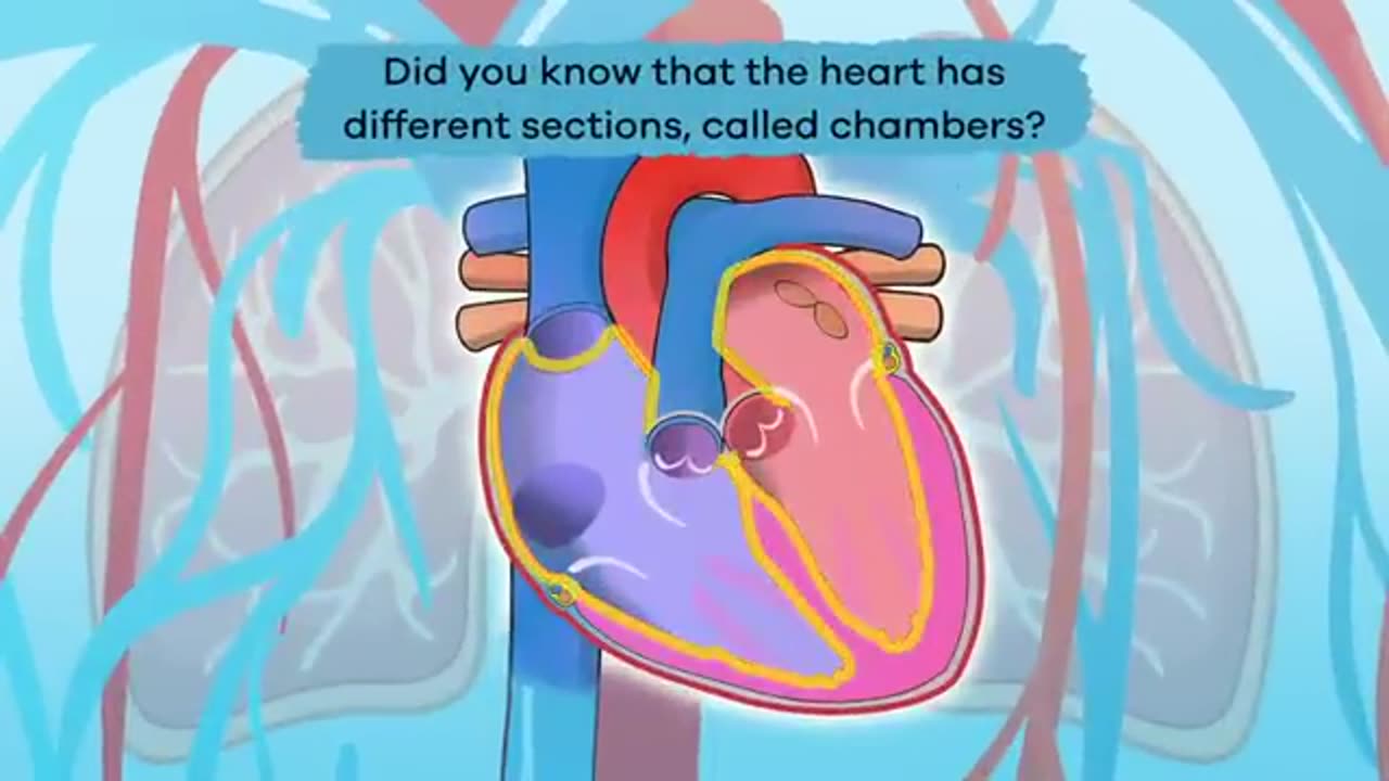 Blood Circulatory System! 60.000 Miles ? For Education