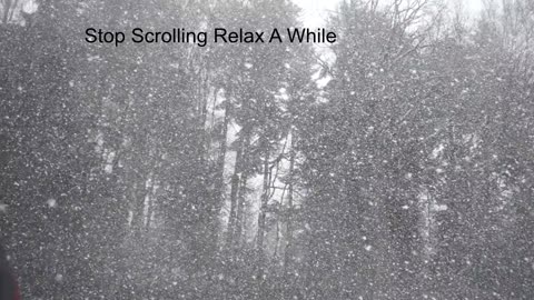 1 Hour Of Watching Snow Fall To Help You Sleep And Reduce Anxiety(ASMR)