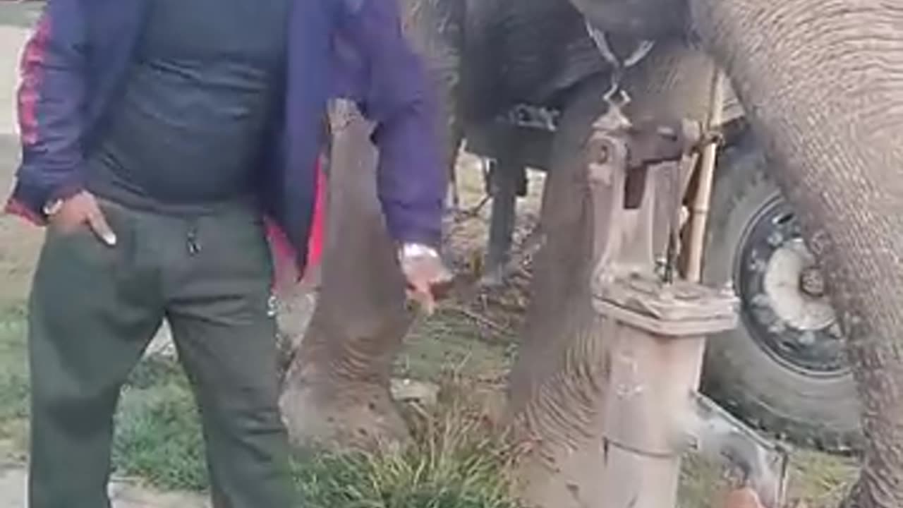 Amazing Watering 👏