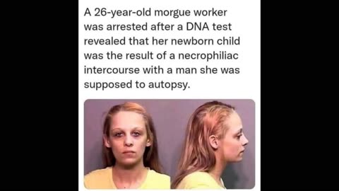 Bitch news