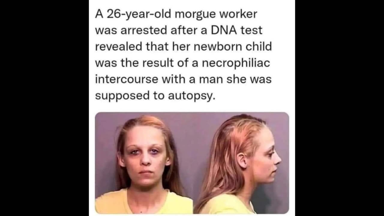 Bitch news