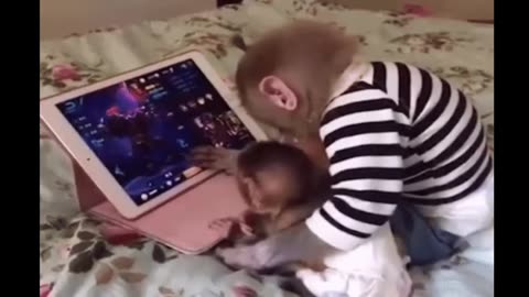 #funny #monkey #funnymonkeyvideo