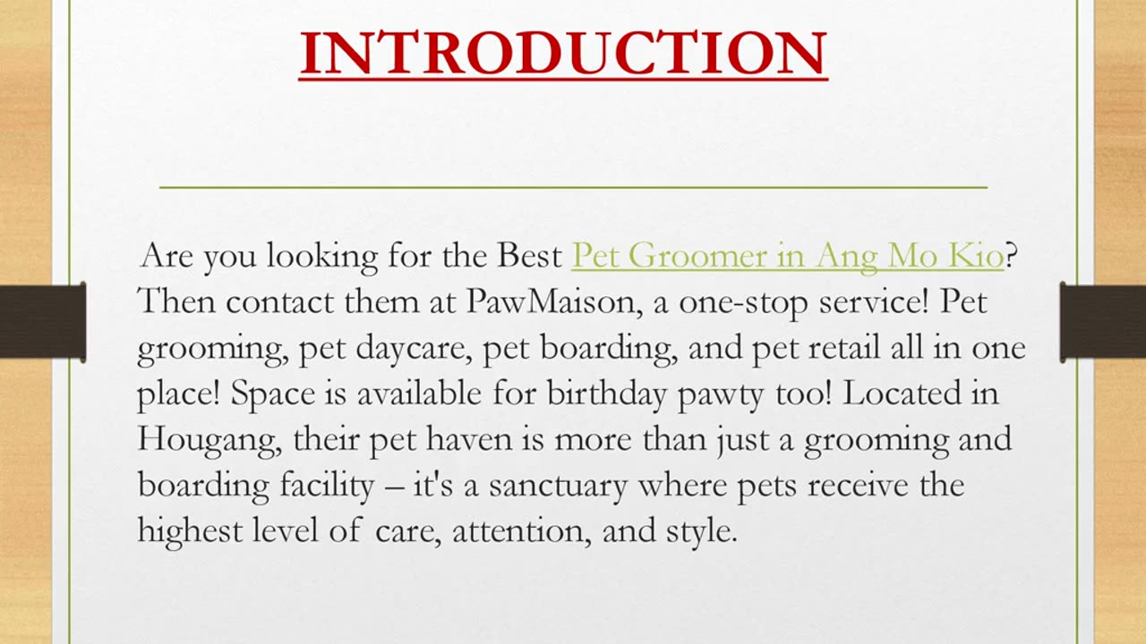 Best Pet Groomer in Ang Mo Kio