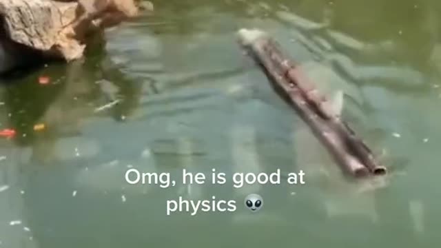 Omg, he is good at physics