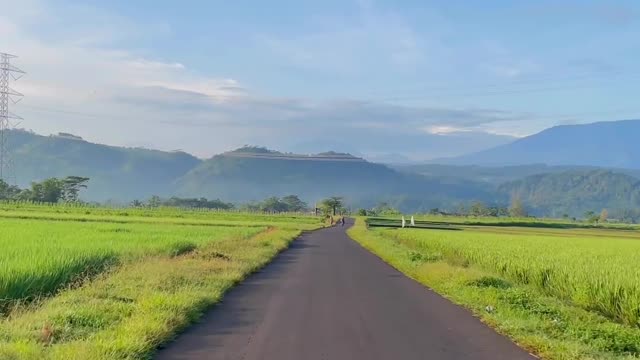 Morning activities of Tersono residents, Batang, Central Java