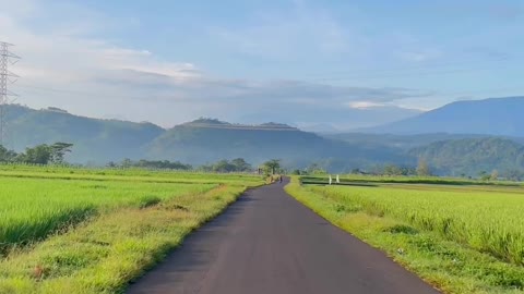 Morning activities of Tersono residents, Batang, Central Java