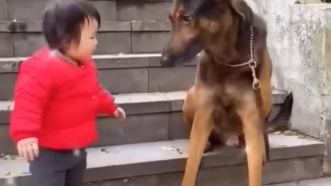 The Cutest Babysitter Ever! #cutebaby #dog