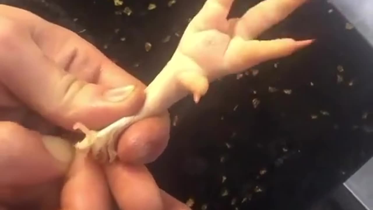 wtf Yโall eat chicken feet?! ๐