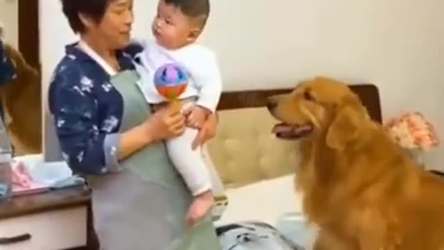 Cute dog care baby ||Dog helping video ||Dog and baby's