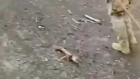 Ukrainians Loot Russian Equipment While They Sleep