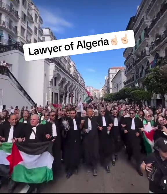 LADIES AND GENTLEMAN THE LAWYER ARMY OF ALGERIA-GILES DEVES