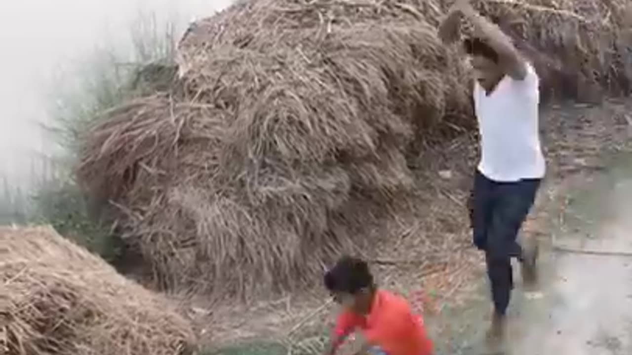 इतना विषैला सांप की लोग देखकर हैरान रह गए।