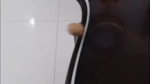 Funny Eating Time Video