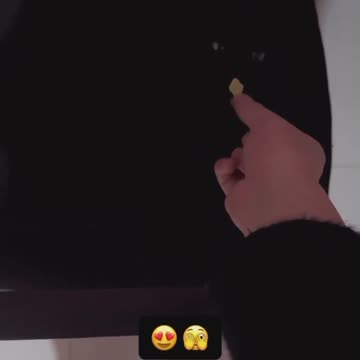 Cat video cute cat video