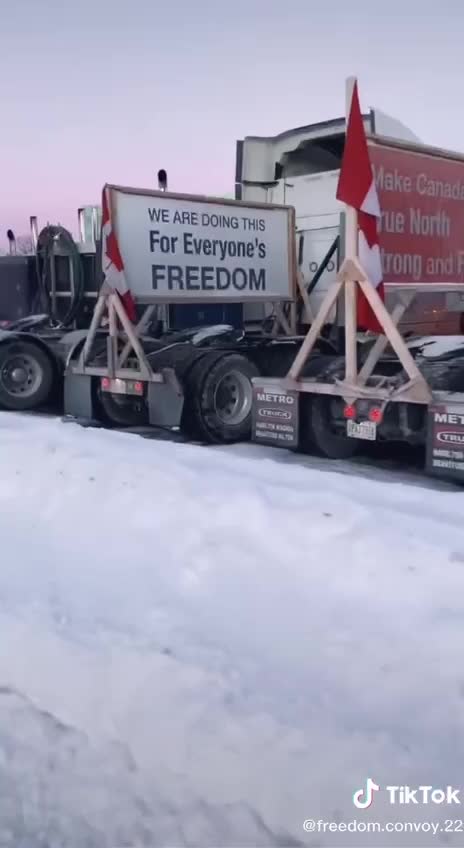 If Stock is Low Blame Trudeau