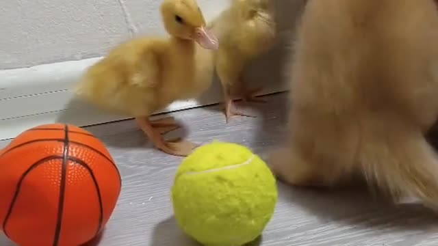 The most nice thing you will see today ❤️