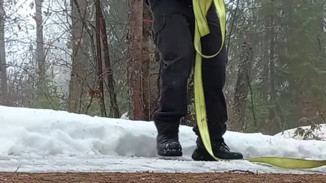 Had To Remove a Tree. Axe and Tow Strap.