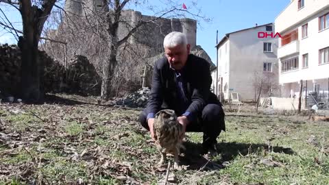 Bitkin puhu kuşunu 3 gün besleyip, görevlilere teslim etti