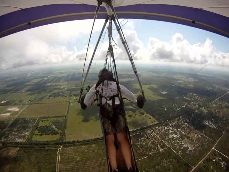 Bird Showing Off During Aerotow (Hang Gliding)