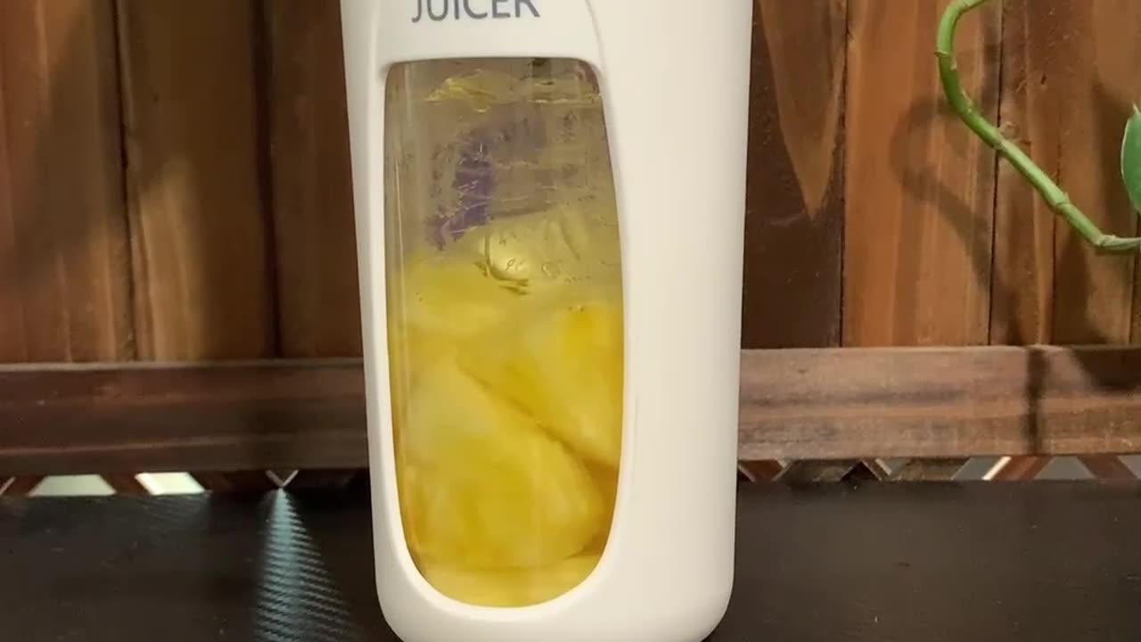 Portable Electric USB Charging Blender and Juice Maker