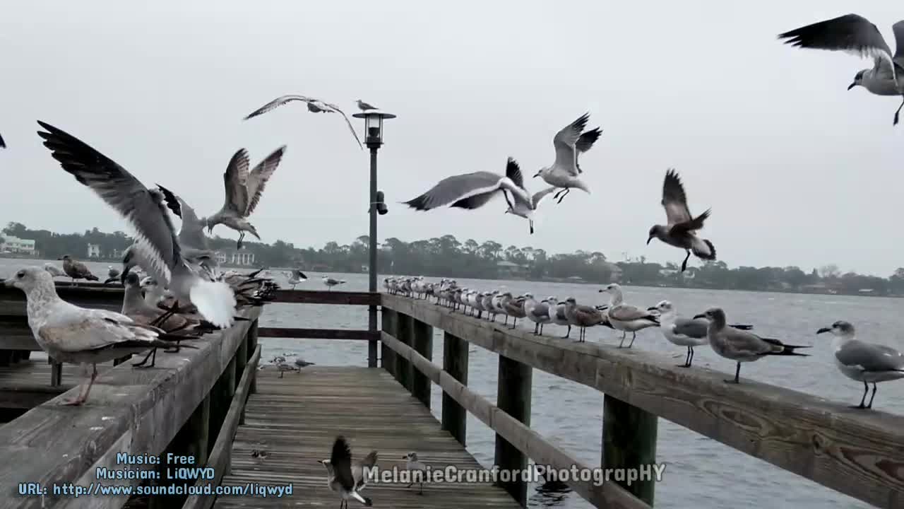 Happy Thanksgiving Eve from Florida! 11-23-22