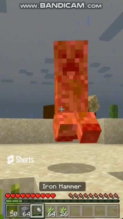 There are 2 of Them | SV Shorts