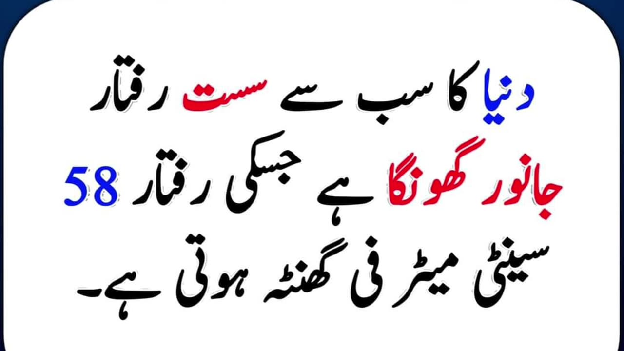 Best urdu Quotes